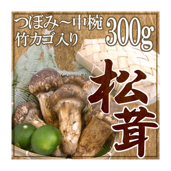 ”中国産 松茸” 約300g カゴ入り・スダチ付 つぼみ~中椀 大きさおまかせ【お届け日指定可能】 送料無料01