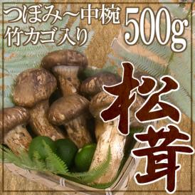 中国産 ”松茸” 約500g カゴ入り・スダチ付 つぼみ～中椀 大きさおまかせ【お届け日指定可能】 送料無料
