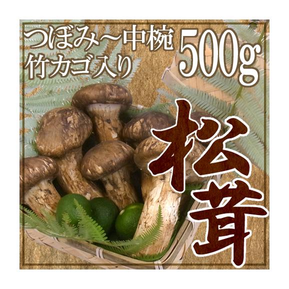 中国産 &rdquo;松茸&rdquo; 約500g カゴ入り・スダチ付 つぼみ～中椀 大きさおまかせ【お届け日指定可能】 送料無料01