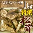 中国産 ”松茸” 特撰 約1kg つぼみ~中椀 大きさおまかせ【お届け日指定可能】 送料無料