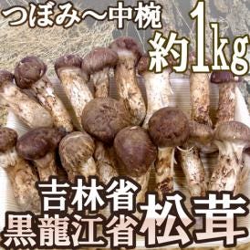 特選 ”中国・吉林省産 松茸” 約1kg つぼみ～中椀 大きさおまかせ【予約 8月中下旬～9月末頃】 送料無料