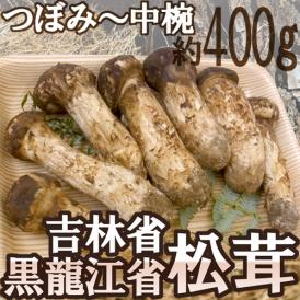 ”中国・吉林省産 松茸” 4～8本前後 約400g つぼみ～中椀【予約 8月中下旬～9月末頃】 送料無料