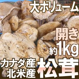 カナダ・北米産 ”松茸” 約1kg 開き 大きさおまかせ【予約 9月中下旬以降】 送料無料