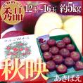まっ黒リンゴ ”長野産 秋映 あきばえ” 秀品 大玉12～16玉 約5kg 化粧箱【予約 10月以降】 送料無料