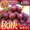 長野産 まっ黒リンゴ ”秋映 あきばえ” 秀品 大玉24～32玉 約10kg【予約 10月以降】 送料無料