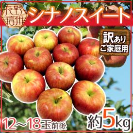 ”長野産 シナノスイート” 訳あり 12～18玉 約5kg りんご【予約 10月中下旬以降】 送料無料