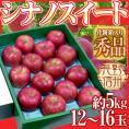 ”長野産 シナノスイート” 秀品 大玉12～16玉 約5kg 化粧箱 りんご【予約 10月中下旬以降】 送料無料