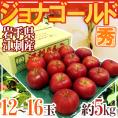 岩手県江刺産 ”ジョナゴールド” 秀品 12～16玉 約5kg りんご【予約 10月下旬以降】 送料無料