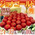 岩手県江刺産 ”ジョナゴールド” 秀品 24～32玉 約10kg りんご【予約 10月下旬以降】 送料無料