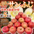 ”長野産 蜜入りサンふじ” 約5kg 訳あり 大きさおまかせ【予約 11月下旬以降】 送料無料