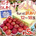岩手江刺産 ”蜜入りサンふじ” ちょっと訳あり 12～18玉 約5kg【予約 11月末以降】 送料無料