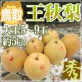 ”鳥取産 王秋梨” 秀品 大玉5〜9玉前後 約5kg【予約 11月以降】 送料無料