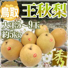 ”鳥取産 王秋梨” 秀品 大玉5〜9玉前後 約5kg【予約 11月以降】 送料無料