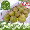 山形産 ”ラフランス” 秀品 10～18玉前後 約5kg 産地箱 ラ・フランス 洋梨【予約 11月以降】 送料無料