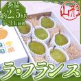 ”山形産 ラフランス” 秀品 5～9玉前後 約2.5kg 化粧箱 ラ・フランス 洋梨【予約 11月以降】 送料無料
