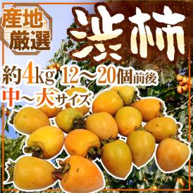 干し柿・吊るし柿用 ”渋柿” 中〜大サイズ 約4kg 「愛宕柿」「大和柿」いずれかを旬な産地で♪【予約 11月中旬以降】 送料無料