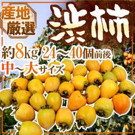 干し柿・吊るし柿用 ”渋柿” 中～大サイズ 約8kg 「愛宕柿」「大和柿」いずれかを旬な産地で♪【予約 11月中旬以降】 送料無料