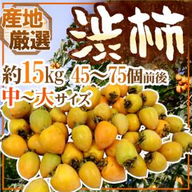 干し柿・吊るし柿用 ”渋柿” 中～大サイズ 約15kg 「愛宕柿」「大和柿」いずれかを旬な産地で♪【予約 11月中旬以降】 送料無料