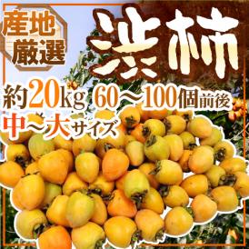 干し柿・吊るし柿用 ”渋柿” 中～大サイズ 約20kg 「愛宕柿」「大和柿」いずれかを旬な産地で♪【予約 11月中旬以降】 送料無料