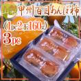 山梨産 ”甲州百目あんぽ柿” 3pc（1pc 2玉 約160g） 化粧箱【予約 11月下旬以降】 送料無料