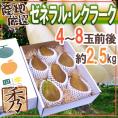 ”ゼネラルレクラーク” 秀品 4～8玉前後 約2.5kg 化粧箱 産地厳選 洋梨【予約 10月下旬以降】 送料無料