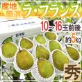 ”ラ・フランス” 秀品 10〜16玉前後 約5kg 産地厳選 洋梨 ラフランス【予約 10月以降】 送料無料