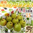 ”ラ・フランス” 秀品 5〜8玉前後 約2.5kg 化粧箱 産地厳選 洋梨 ラフランス【予約 10月以降】 送料無料