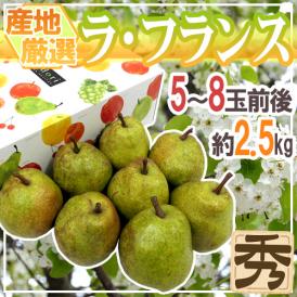 ”ラ・フランス” 秀品 5〜8玉前後 約2.5kg 化粧箱 産地厳選 洋梨 ラフランス【予約 10月以降】 送料無料
