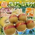 ”香川県 さぬきゴールド” 秀品 超大玉4L以上 4～6玉 約1kg【予約 10月下旬以降】