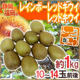 福岡・静岡産他 ”レインボーレッドキウイ・レッドキウイ” 秀品 10～14玉前後 約1kg【予約 10月以降】