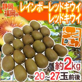 福岡・静岡産他 ”レインボーレッドキウイ・レッドキウイ” 秀品 20～27玉前後 約2kg【予約 10月以降】 送料無料