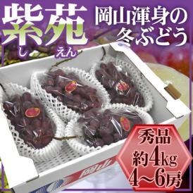 岡山産 ”紫苑ぶどう” 秀品 超大房 4～6房 約4kg【予約 10月下旬以降】 送料無料