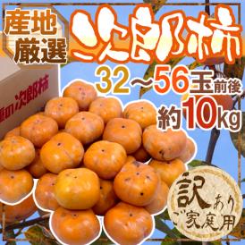 ”次郎柿” 訳あり 32～56玉前後 約10kg 産地厳選【予約 10月下旬以降】 送料無料