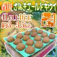 香川県 ”さぬきゴールド” 秀品 超大玉4L以上 16玉 約3～3.5kg【予約 10月下旬以降】 送料無料