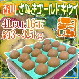 香川県 ”さぬきゴールド” 秀品 超大玉4L以上 16玉 約3～3.5kg【予約 10月下旬以降】 送料無料