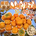 ”次郎柿” 訳あり 約3kg 10～20玉前後 産地厳選【予約 10月下旬以降】 送料無料