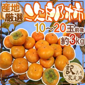 ”次郎柿” 訳あり 約3kg 10～20玉前後 産地厳選【予約 10月下旬以降】 送料無料
