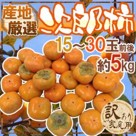”次郎柿” 訳あり 15～30玉前後 約5kg 産地厳選【予約 10月下旬以降】 送料無料