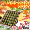 福岡・静岡産他 ”レインボーレッドキウイ・レッドキウイ” 秀品 30～40玉前後 約3kg【予約 10月以降】 送料無料