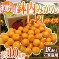 和歌山・有田産 ”鉢内みかん” 訳あり L～2Lサイズ 約10kg はちうちみかん【予約 11月末以降】 送料無料