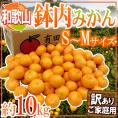 和歌山・有田産 ”鉢内みかん” 訳あり S～Mサイズ 約10kg はちうちみかん【予約 11月末以降】 送料無料