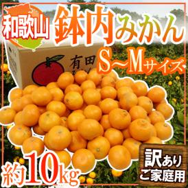 和歌山・有田産 ”鉢内みかん” 訳あり S～Mサイズ 約10kg はちうちみかん【予約 11月末以降】 送料無料