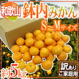 ”和歌山・有田産 鉢内みかん” 訳あり S～Mサイズ 約5kg はちうちみかん【予約 11月末以降】 送料無料
