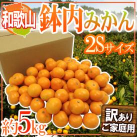”和歌山・有田産 鉢内みかん” 訳あり 2Sサイズ 約5kg はちうちみかん【予約 11月末以降】 送料無料