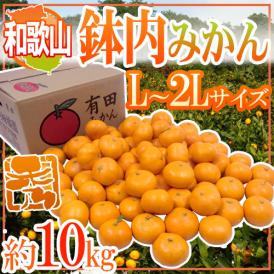 和歌山・有田産 ”鉢内みかん” 秀品 L～2Lサイズ 約10kg はちうちみかん【予約 11月末以降】 送料無料
