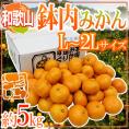 ”和歌山・有田産 鉢内みかん” 秀品 L～2Lサイズ 約5kg はちうちみかん【予約 11月末以降】 送料無料