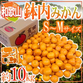 和歌山・有田産 ”鉢内みかん” 秀品 S～Mサイズ 約10kg はちうちみかん【予約 11月末以降】 送料無料