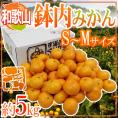 ”和歌山・有田産 鉢内みかん” 秀品 S～Mサイズ 約5kg はちうちみかん【予約 11月末以降】 送料無料