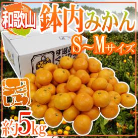 ”和歌山・有田産 鉢内みかん” 秀品 S～Mサイズ 約5kg はちうちみかん【予約 11月末以降】 送料無料