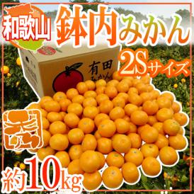 和歌山・有田産 ”鉢内みかん” 秀品 2Sサイズ 約10kg はちうちみかん【予約 11月末以降】 送料無料